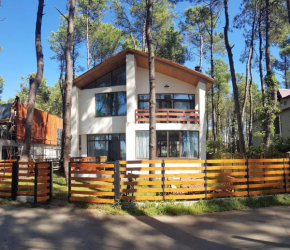 Beachfront 4-bedroom home in Kaprovani pine forest